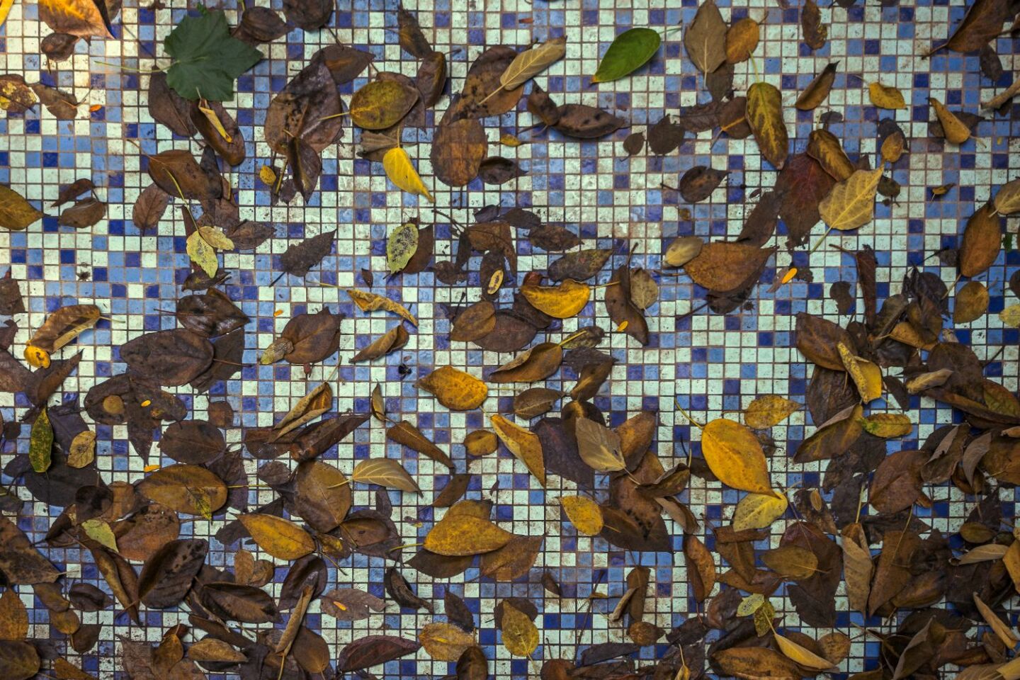 Ο Βασίλης Μακρής φωτογραφίζει τον Εθνικό Κήπο χωρίς ανθρώπους, αναδεικνύοντας τη συνύπαρξη φύσης, ιστορίας και μνήμης.