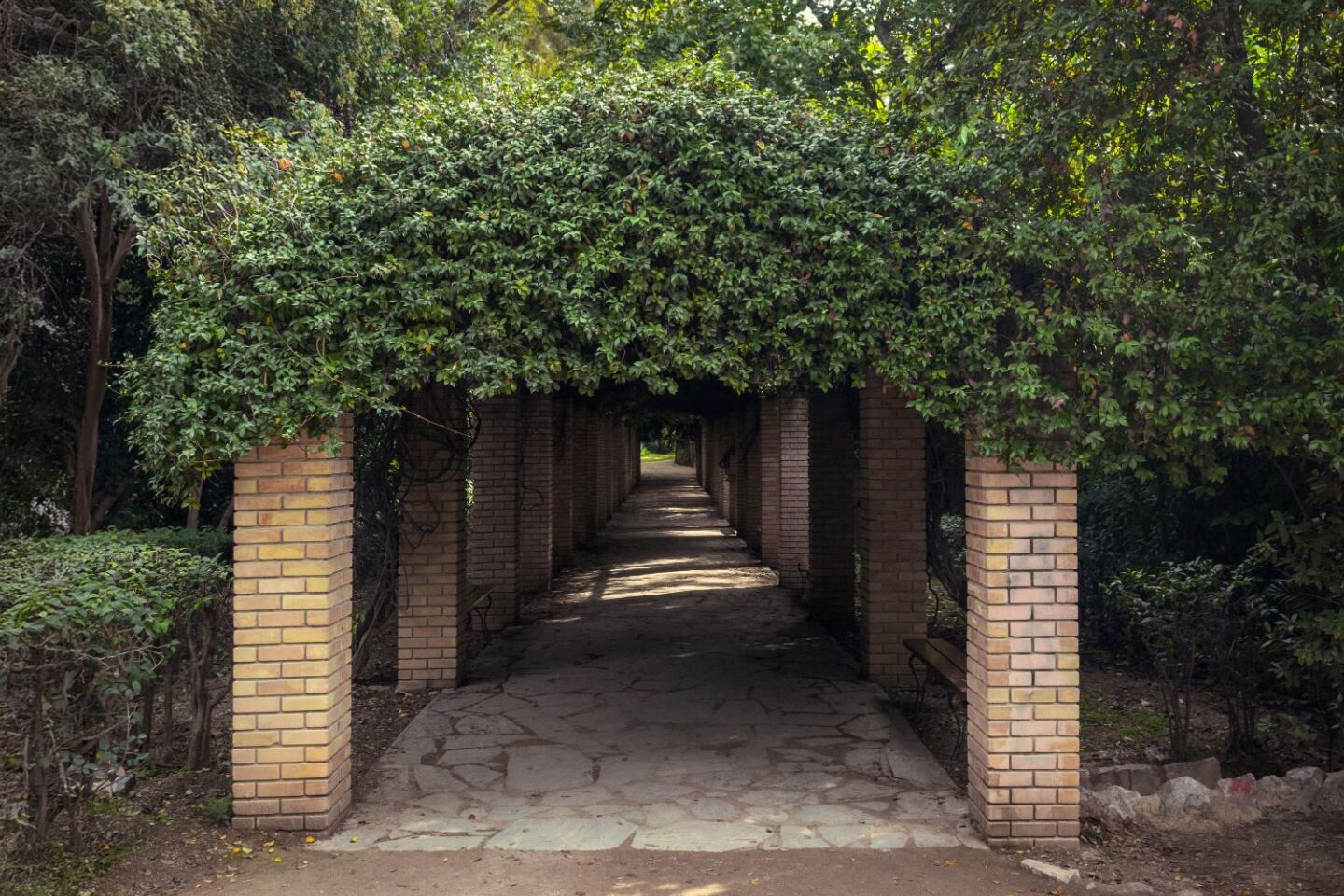 Ο Βασίλης Μακρής φωτογραφίζει τον Εθνικό Κήπο χωρίς ανθρώπους, αναδεικνύοντας τη συνύπαρξη φύσης, ιστορίας και μνήμης.