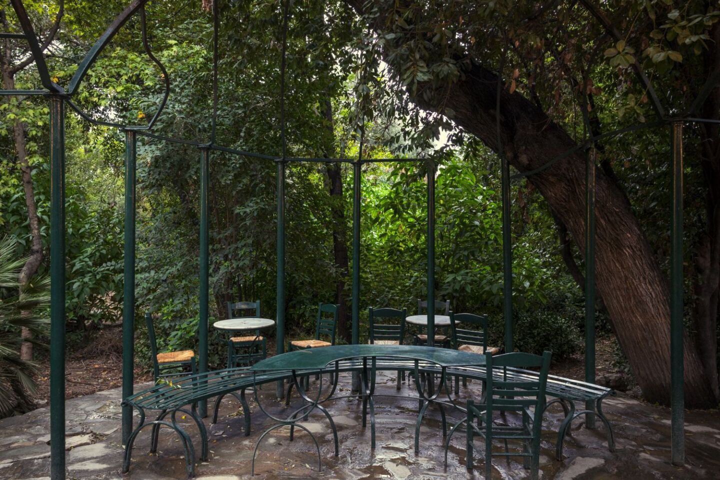 Ο Βασίλης Μακρής φωτογραφίζει τον Εθνικό Κήπο χωρίς ανθρώπους, αναδεικνύοντας τη συνύπαρξη φύσης, ιστορίας και μνήμης.