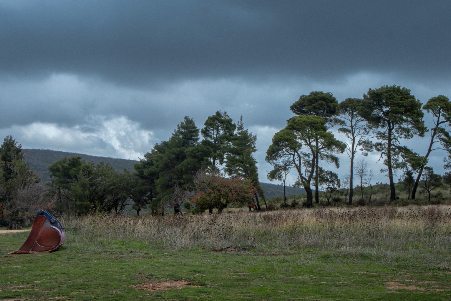 Ανασκόπηση 2025: Η χρονιά μέσα από τις εικόνες 26 Ελλήνων φωτογράφων.