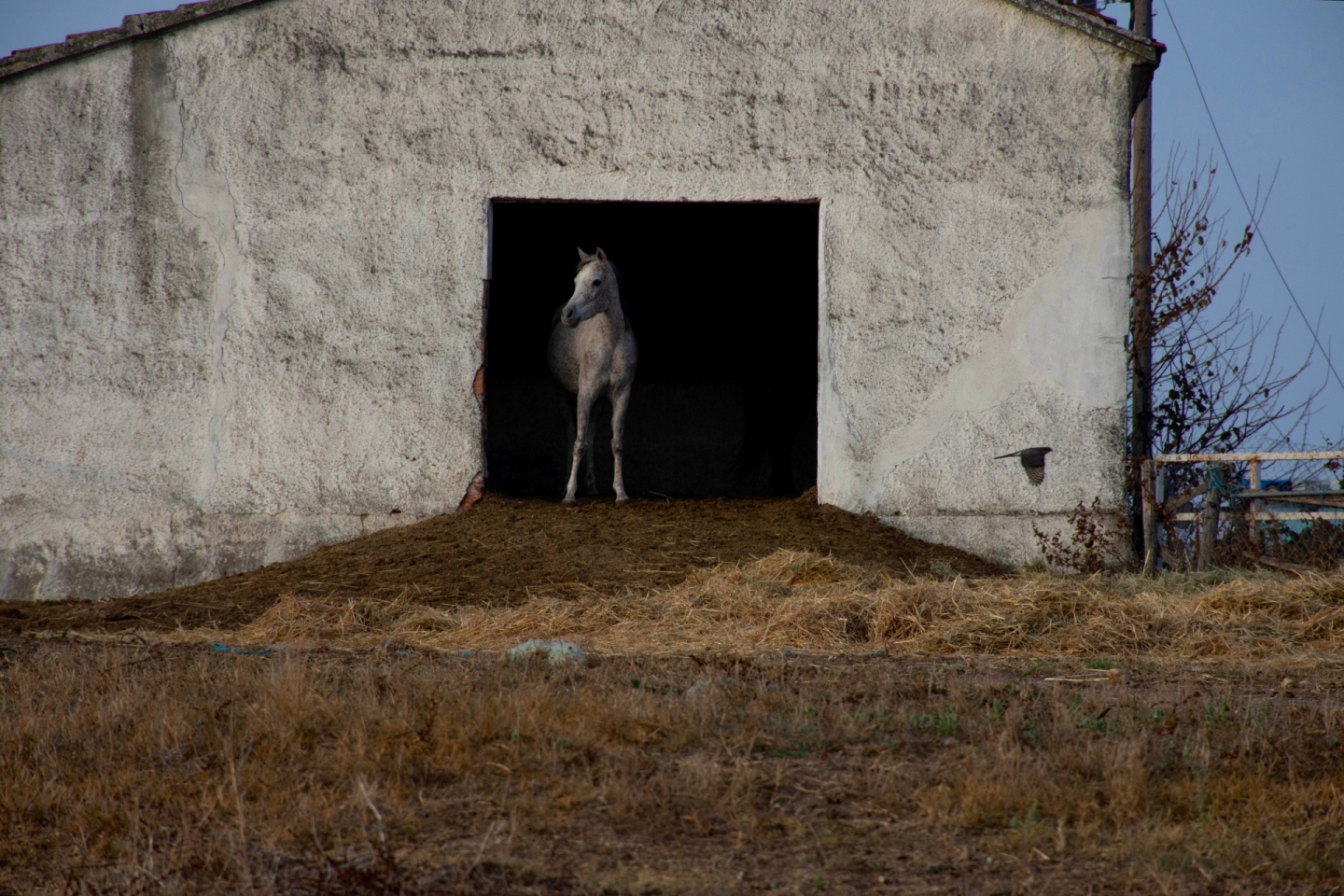Ανασκόπηση 2025: Η χρονιά μέσα από τις εικόνες 26 Ελλήνων φωτογράφων.