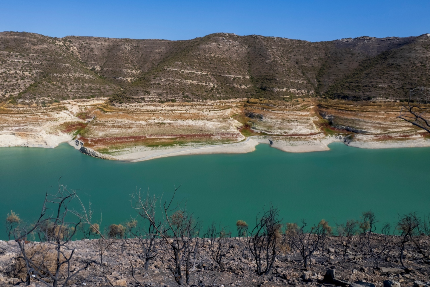 Ανασκόπηση 2025: Η χρονιά μέσα από τις εικόνες 26 Ελλήνων φωτογράφων.