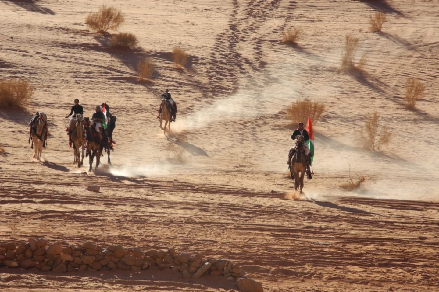 Ανασκόπηση 2025: Η χρονιά μέσα από τις εικόνες 26 Ελλήνων φωτογράφων.