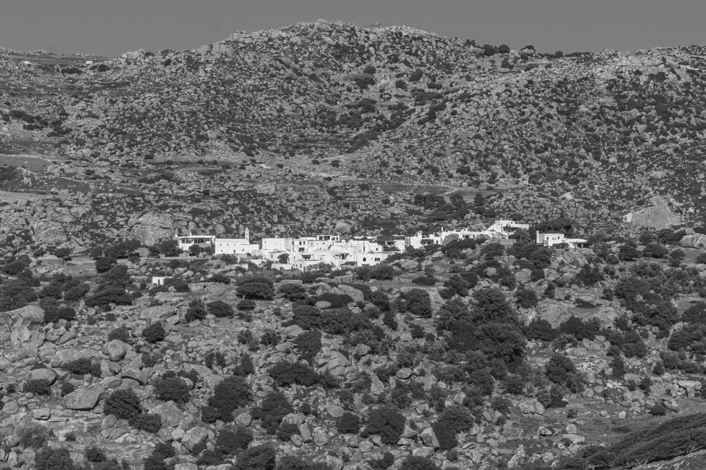 Βώλακας | Τήνος