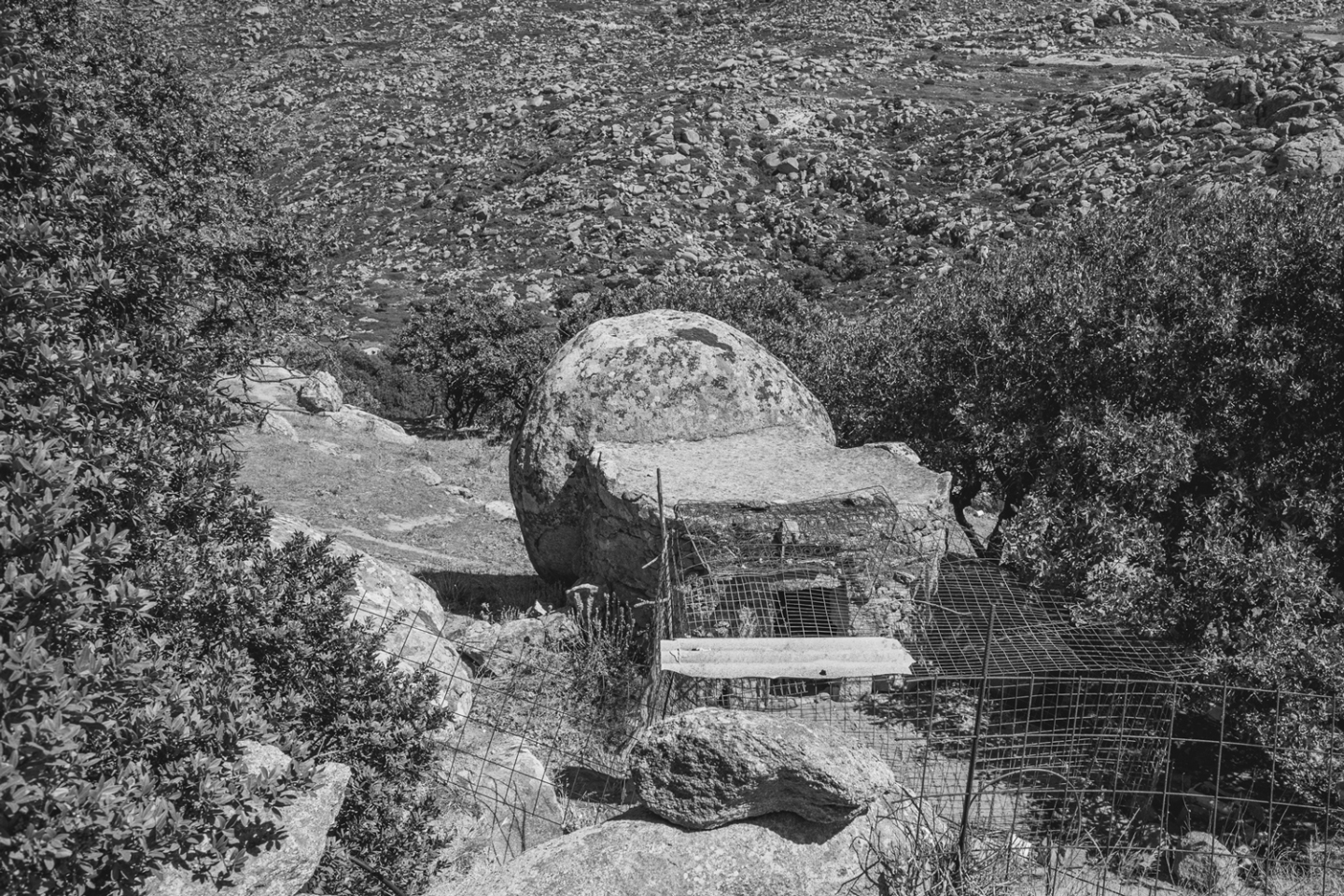Βώλακας | Τήνος