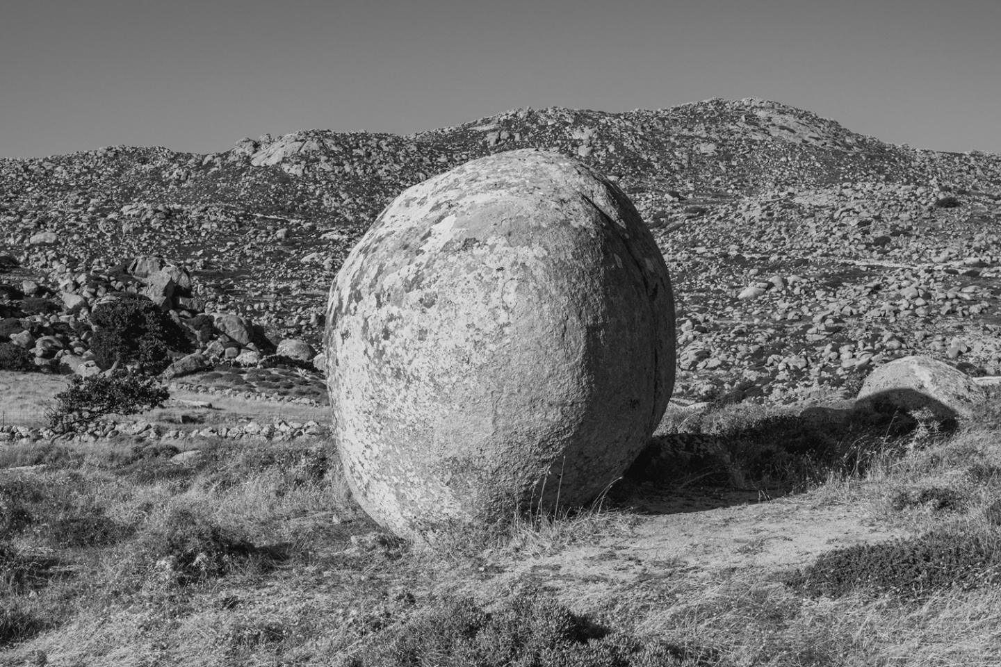 Βώλακας | Τήνος