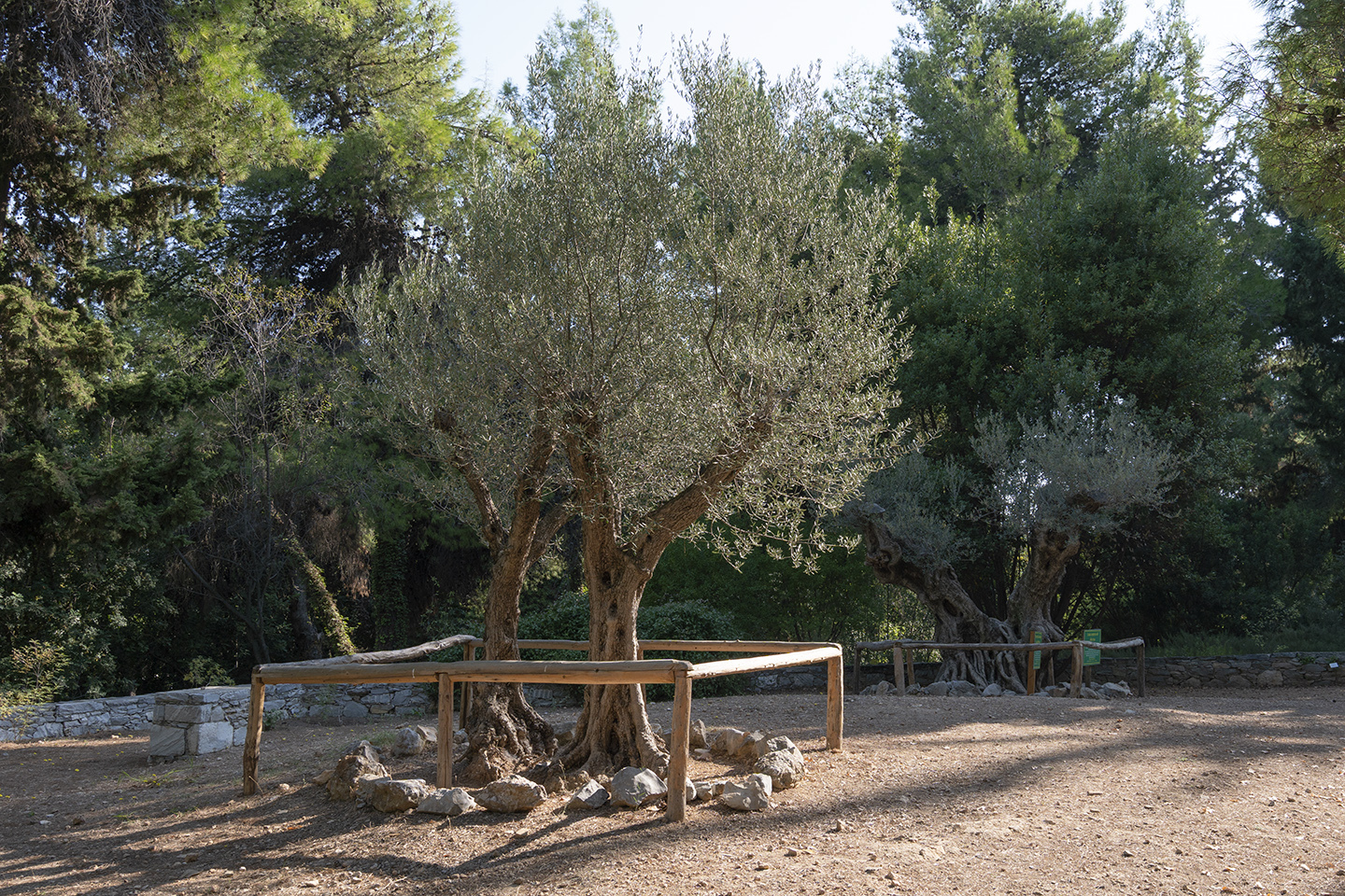 Βοτανικός Κήπος Διομήδους