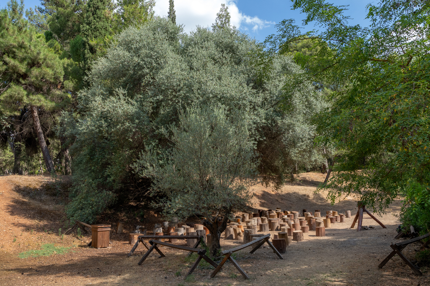 Βοτανικός Κήπος Διομήδους