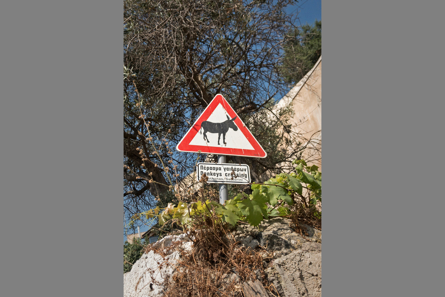 santorini-ta-entos-topia__14_