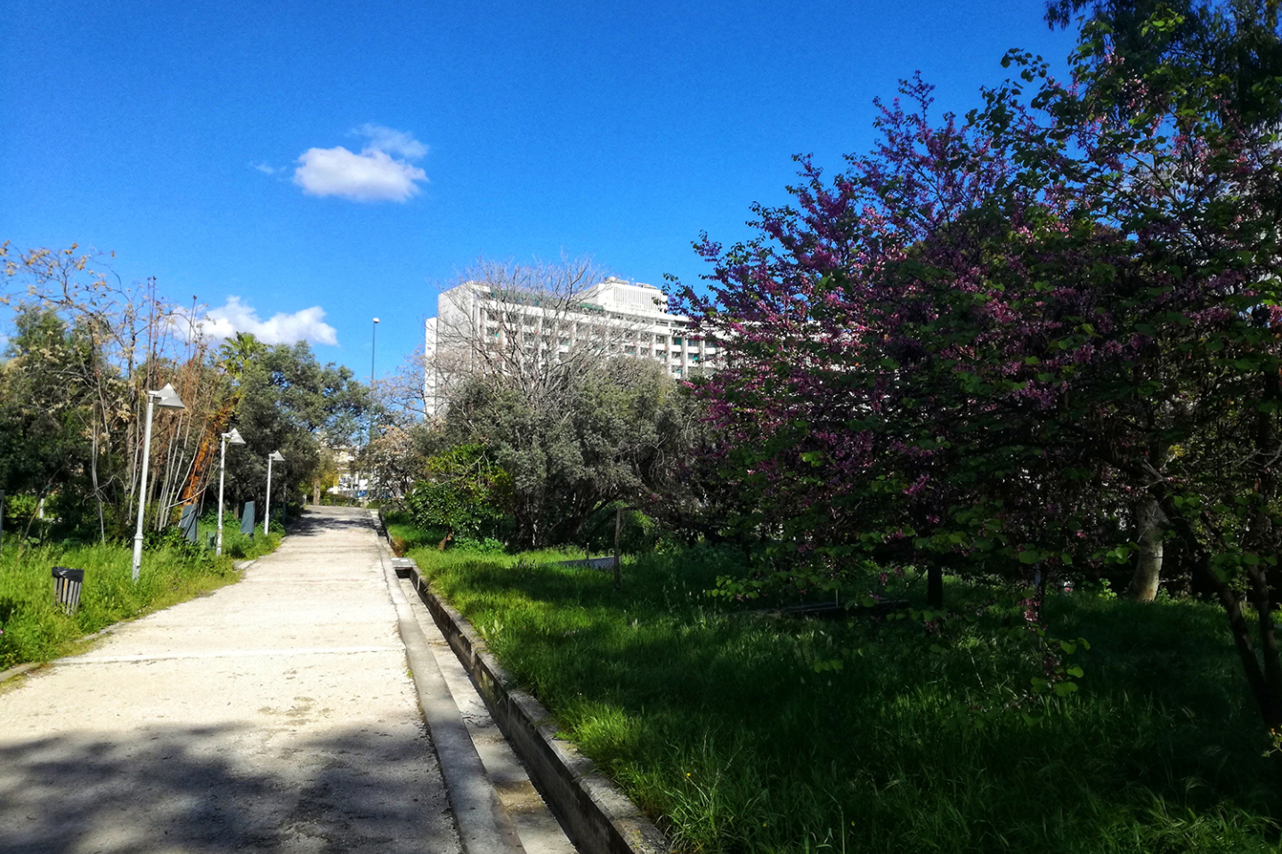 Πάρκο Ριζάρη