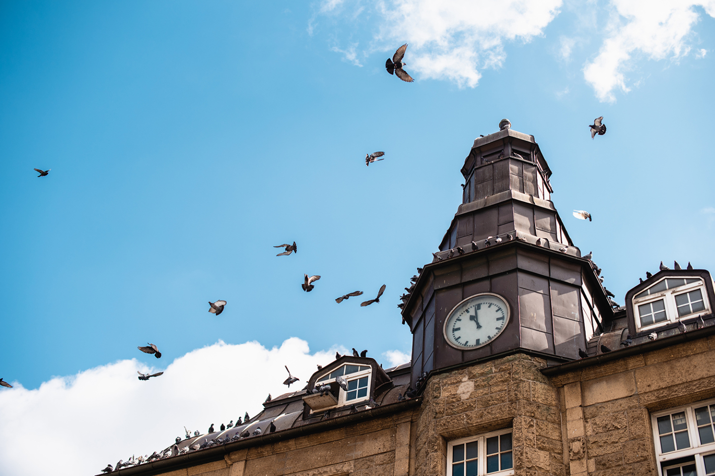 Κορωνοϊός στο Αμβούργο