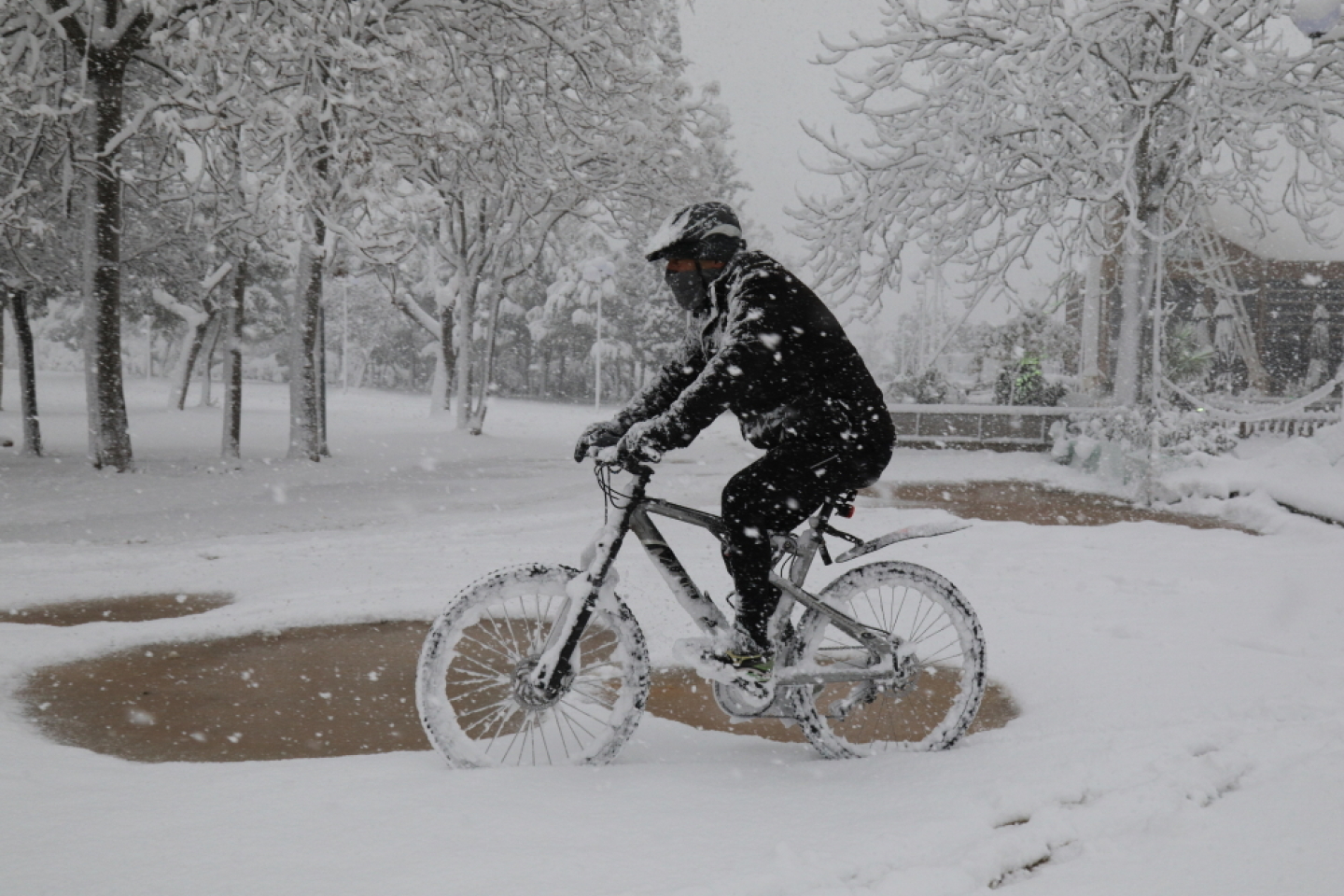 Χιονισμένη Αθήνα
