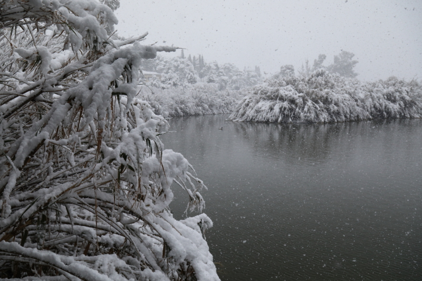 Χιονισμένη Αθήνα