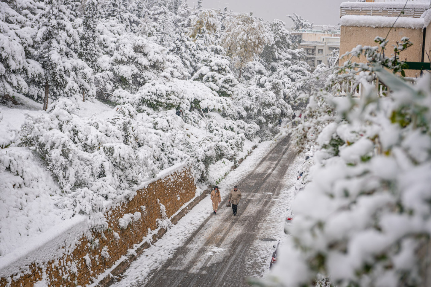 snowday-1-2.jpg snowday-1-2.jpg