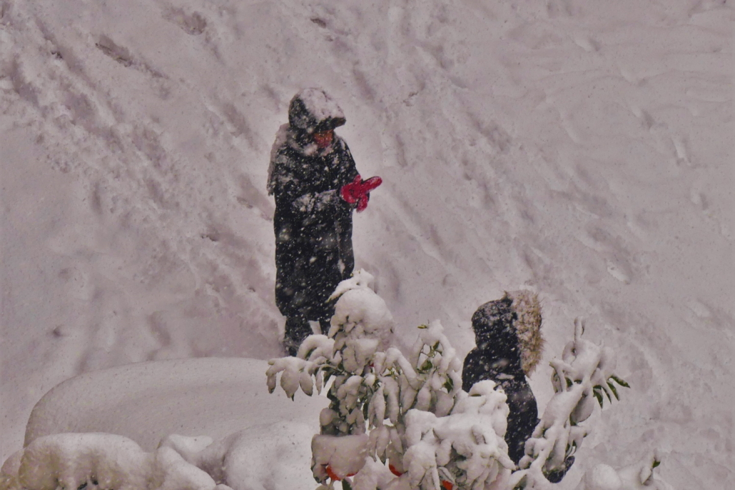 Πετρούπολη