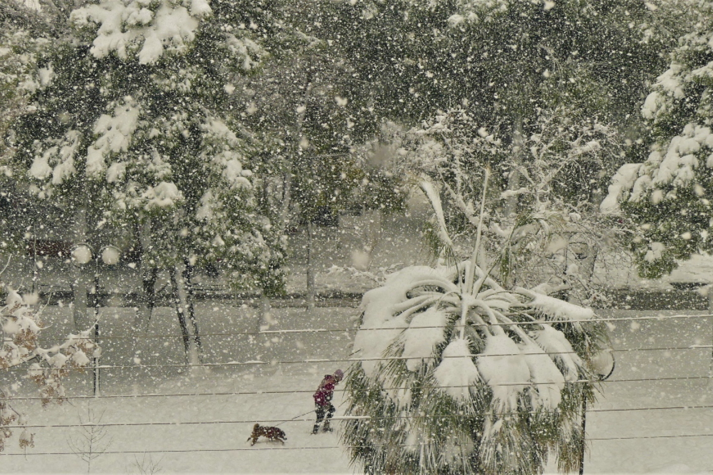 Πετρούπολη