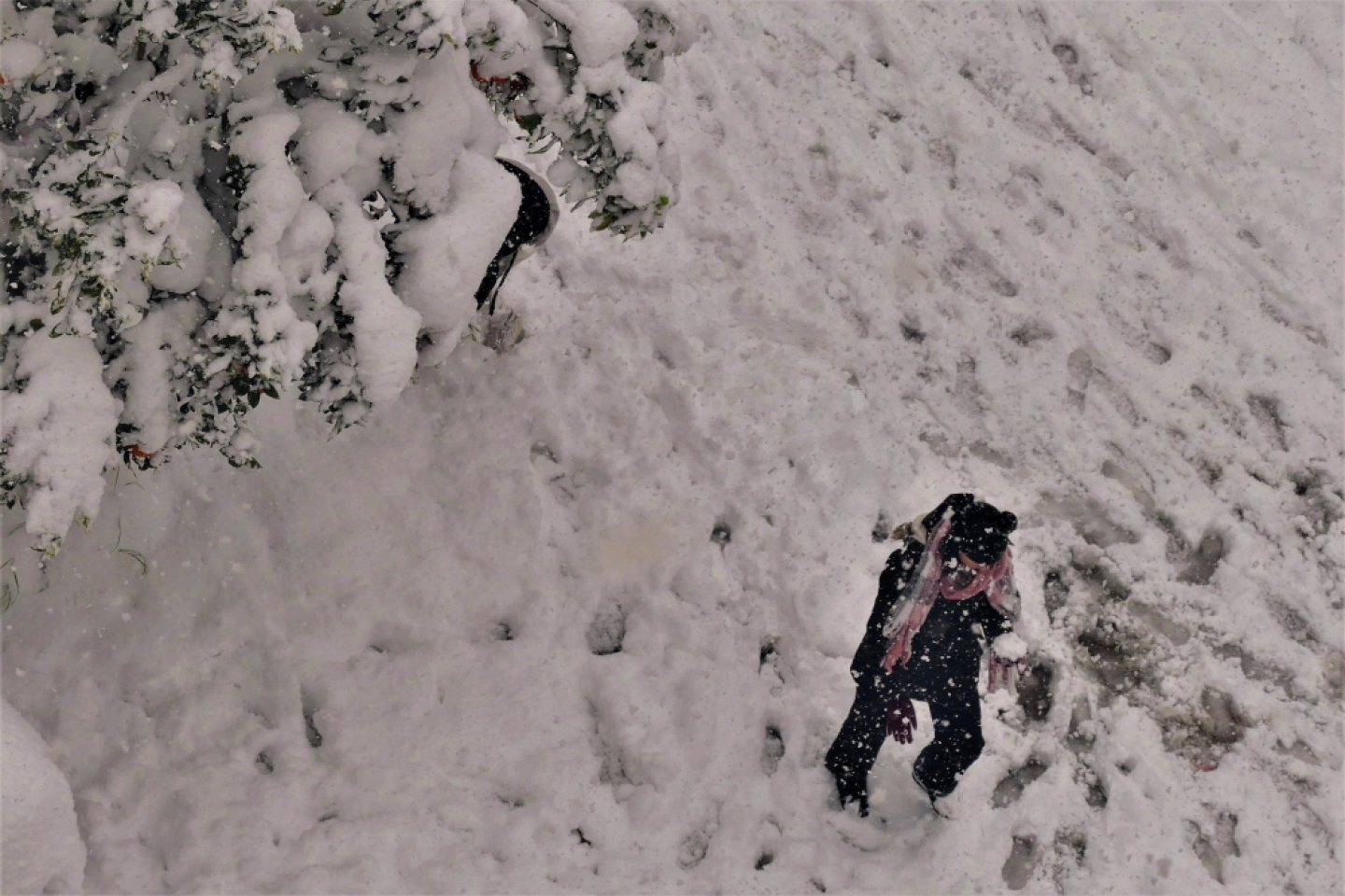Πετρούπολη