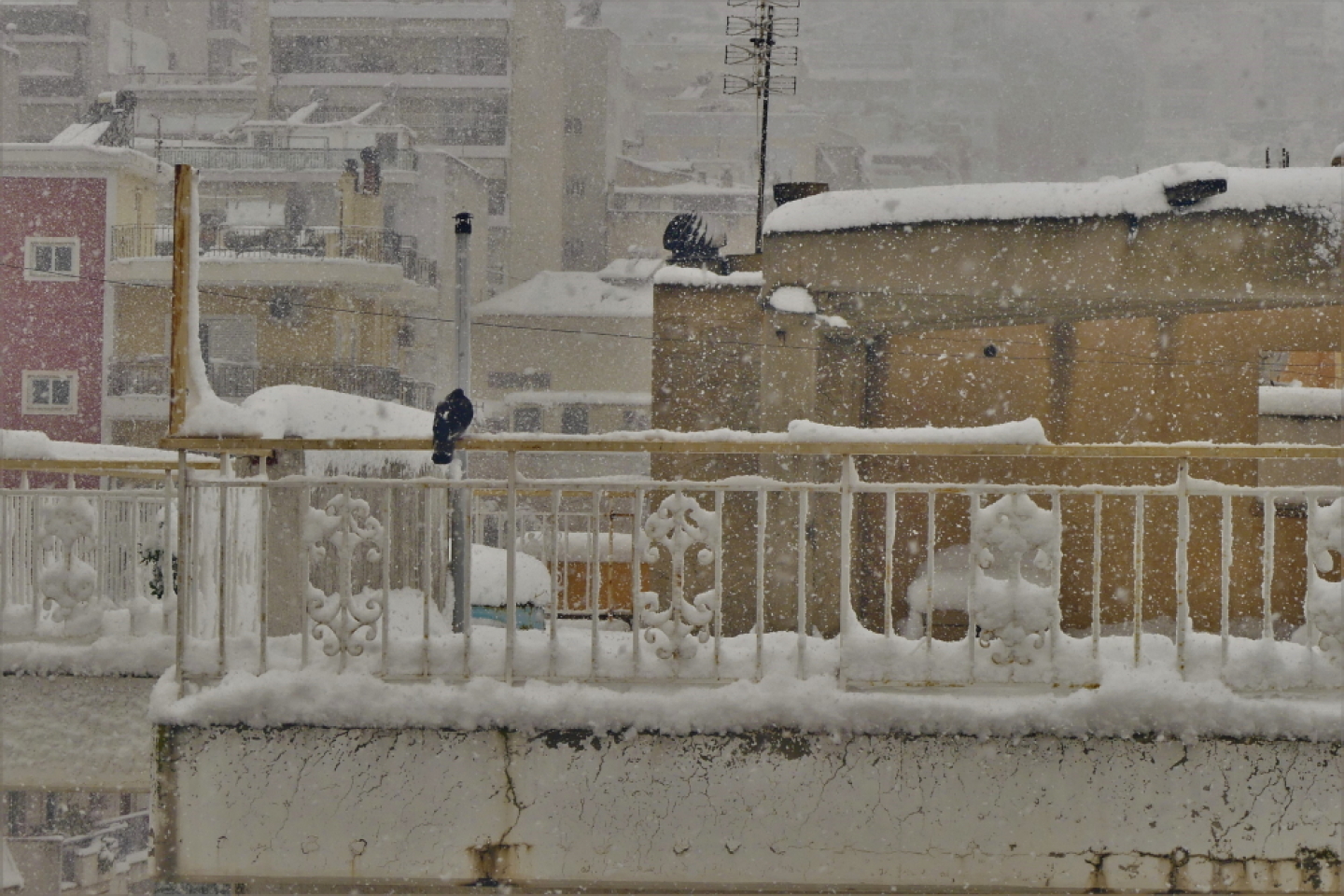 Πετρούπολη