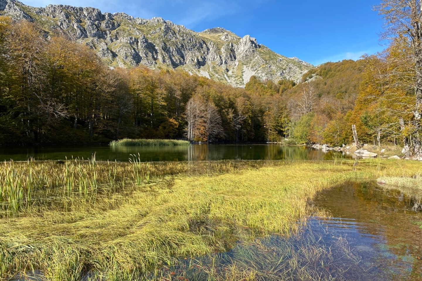 Ο Γράμμος από το αρχείο της ΕΕΠΦ