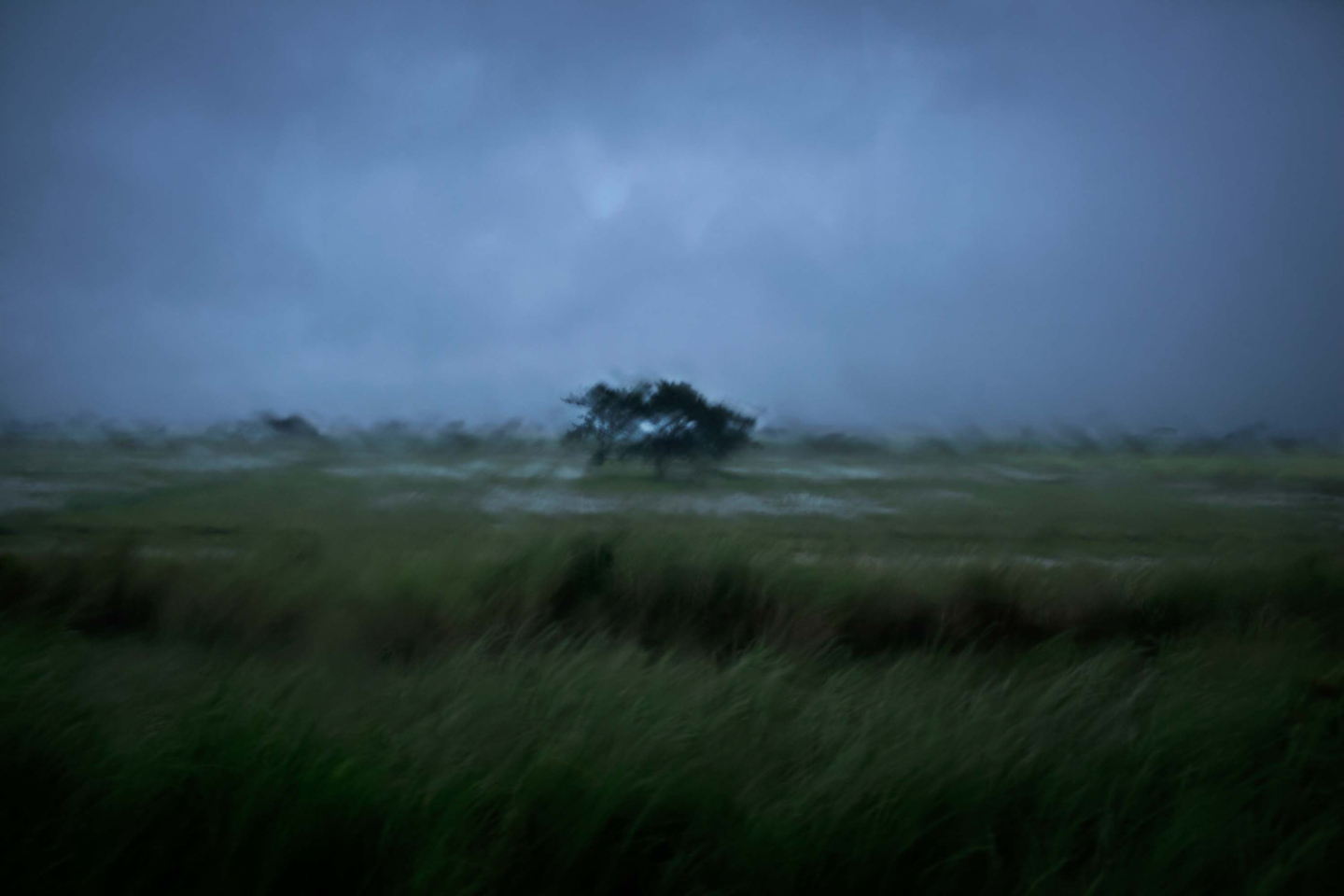 Μιανμάρ, Patrick Brown 