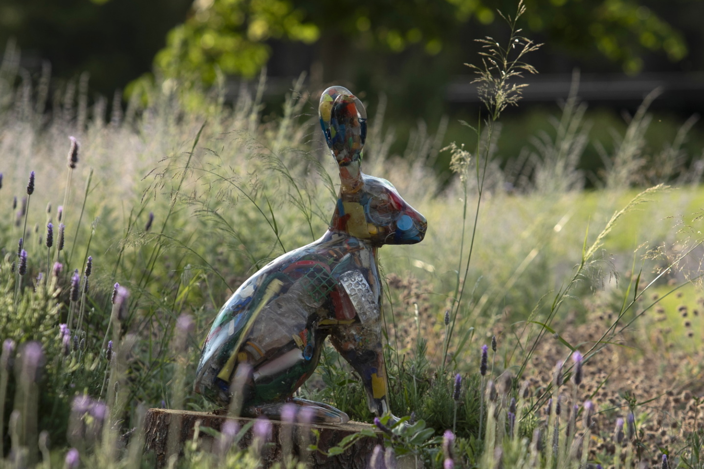 Δημήτρης Λιόσης και Harrison Lambert 