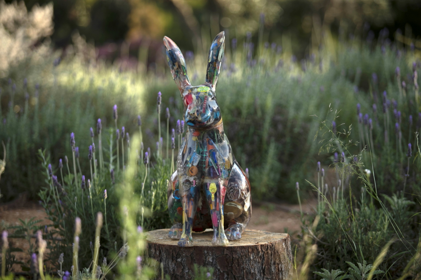 Δημήτρης Λιόσης και Harrison Lambert 