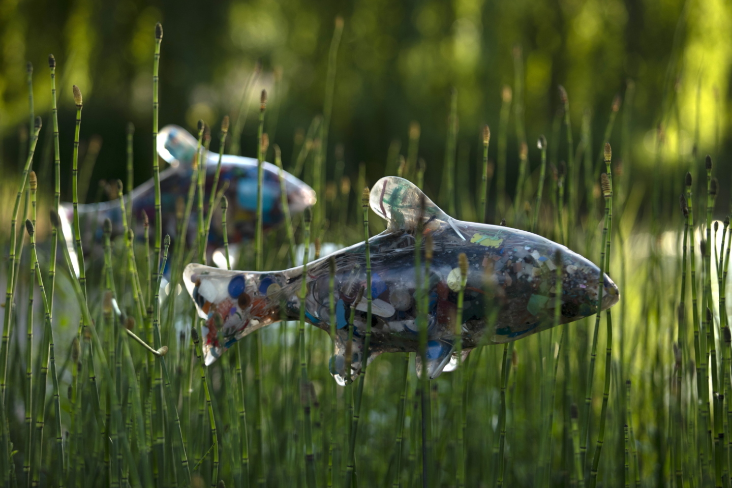 Δημήτρης Λιόσης και Harrison Lambert 