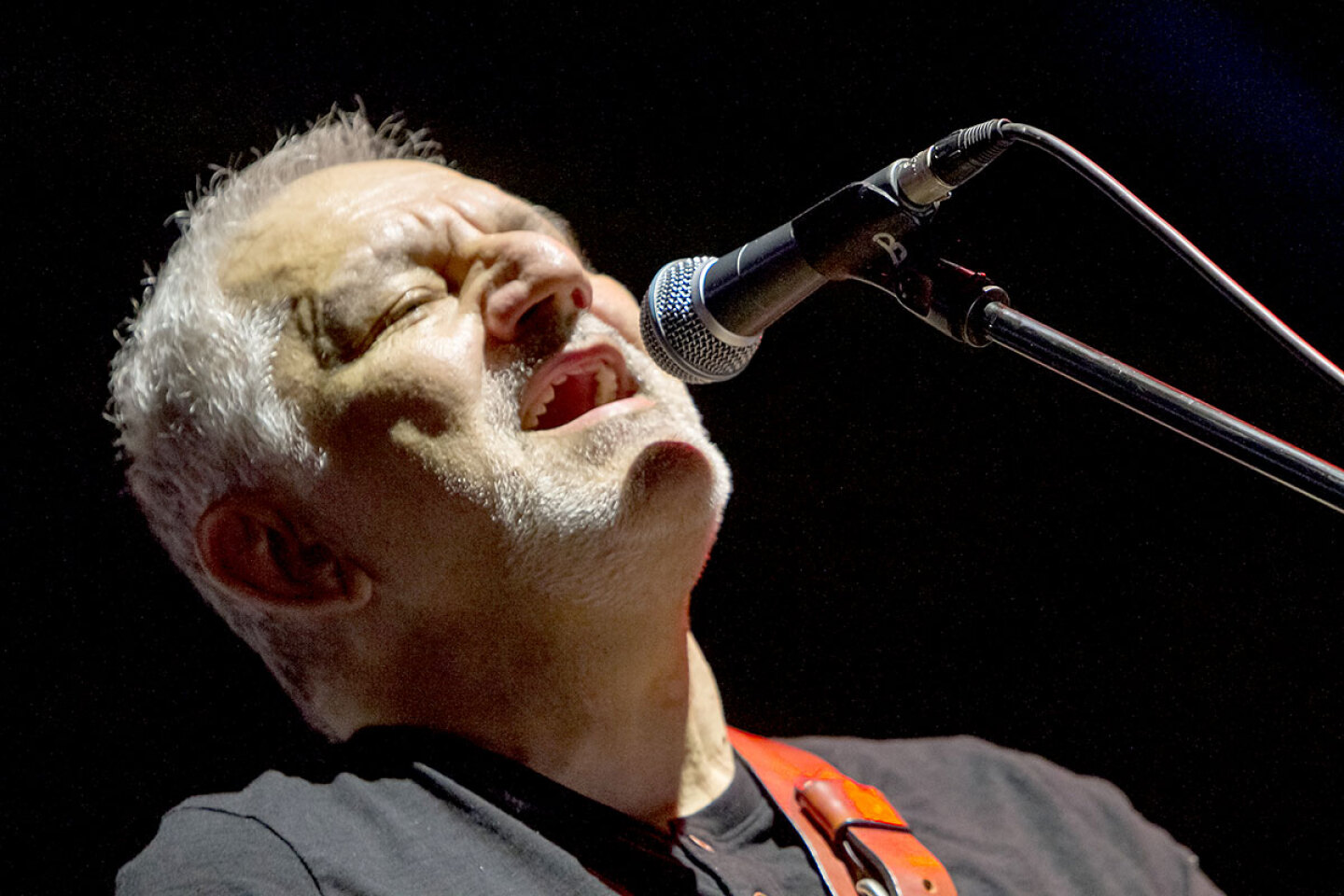 Στιγμιότυπο από τη συναυλία των Νίκου Πορτοκάλογλου, Στάθη Δρογώση, Αγάπη Διαγγελάκη, Βύρωνα Τσουράπη