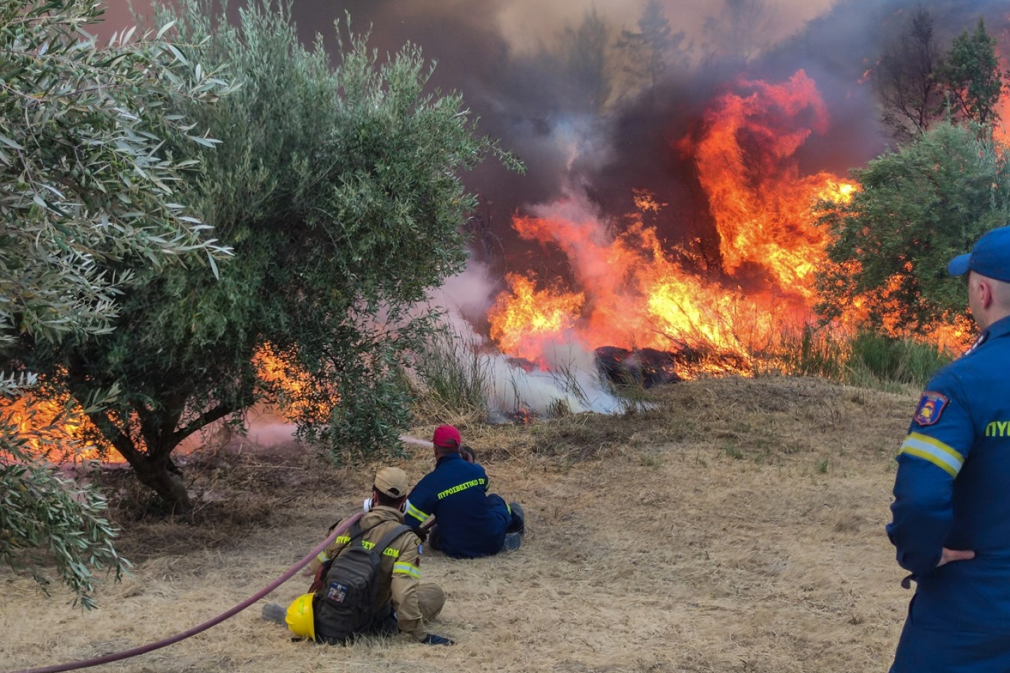 Πυρκαγιά στο Χελιδόνι Ηλείας, Πέμπτη 5 Αυγούστου 2021