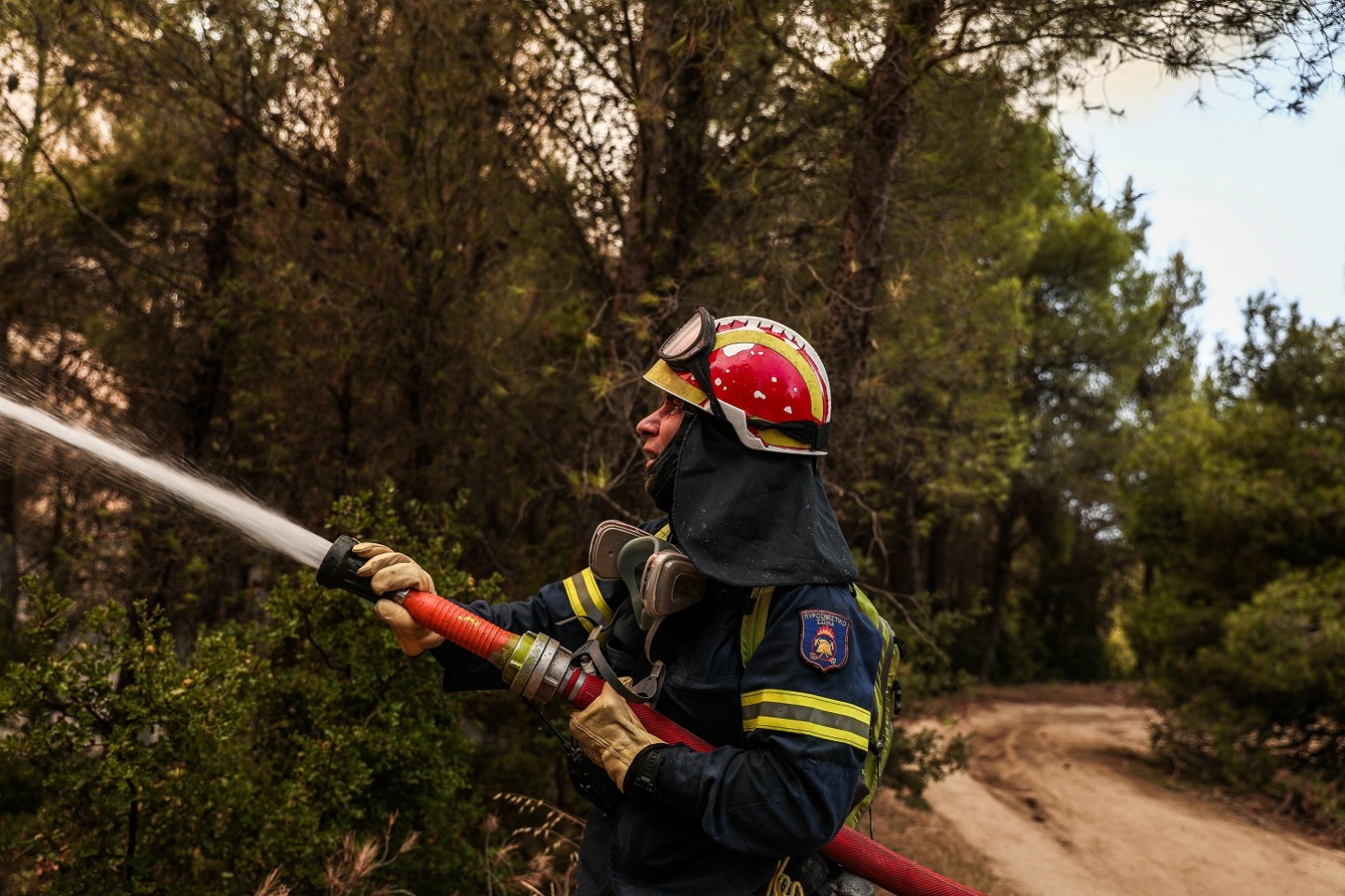 Αναζωπύρωση της πυρκαγιάς στην Βαρυμπόμπη - Στιγμιότυπο από τις Αφίδνες