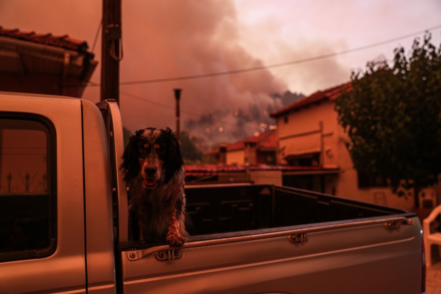 Στιγμιότυπο από το χωριό Γούβες, στη Βόρεια Εύβοια. 