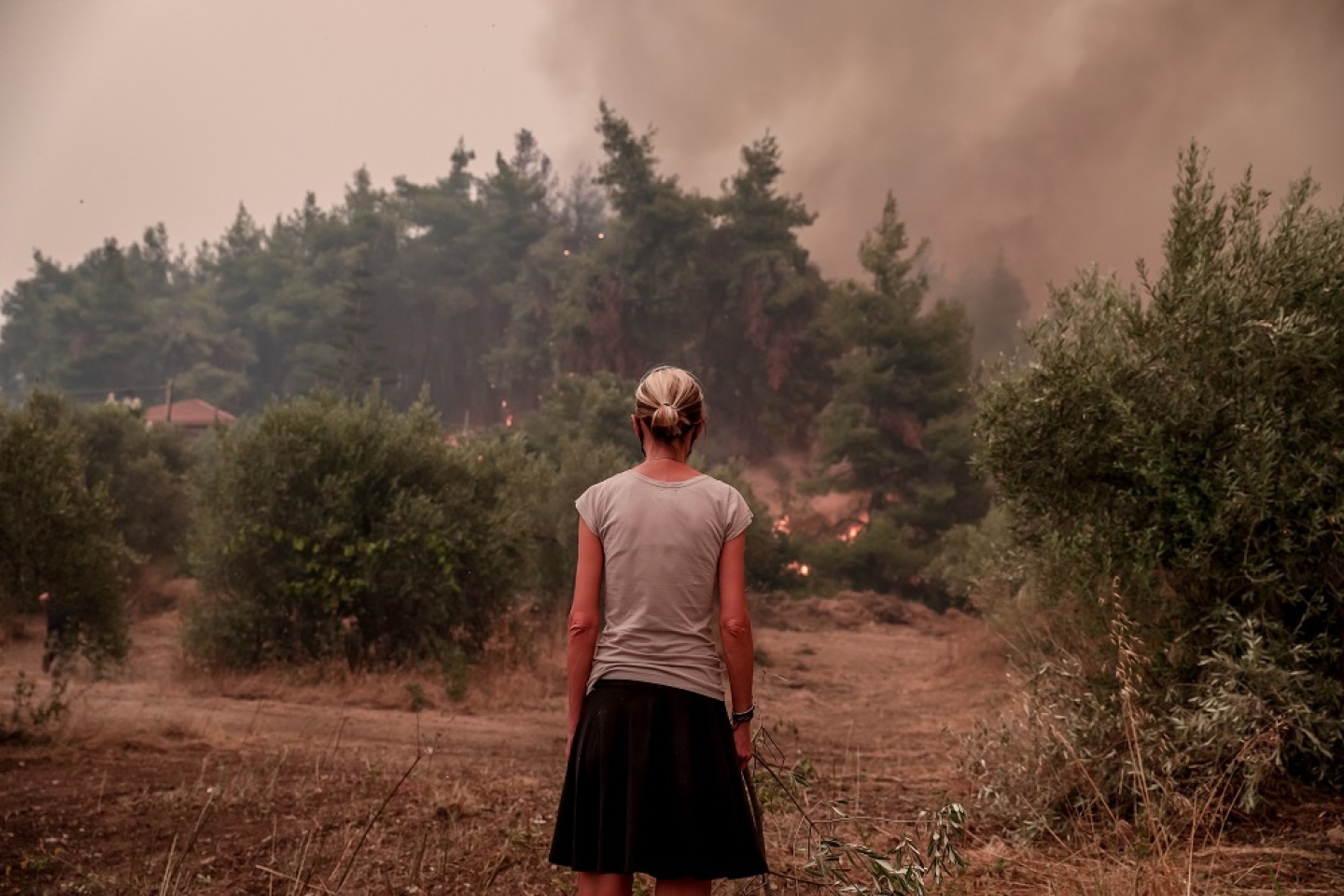Μια γυναίκα κοιτά τη φωτιά στο χωριό Πευκί, στη Βόρεια Εύβοια. 