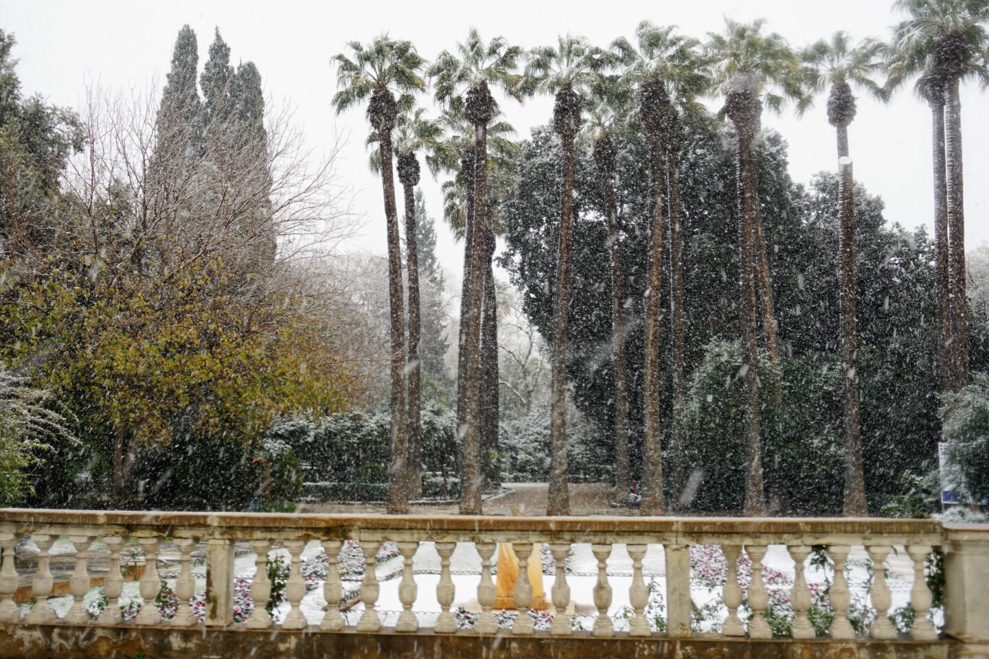 Εθνικός Κήπος.