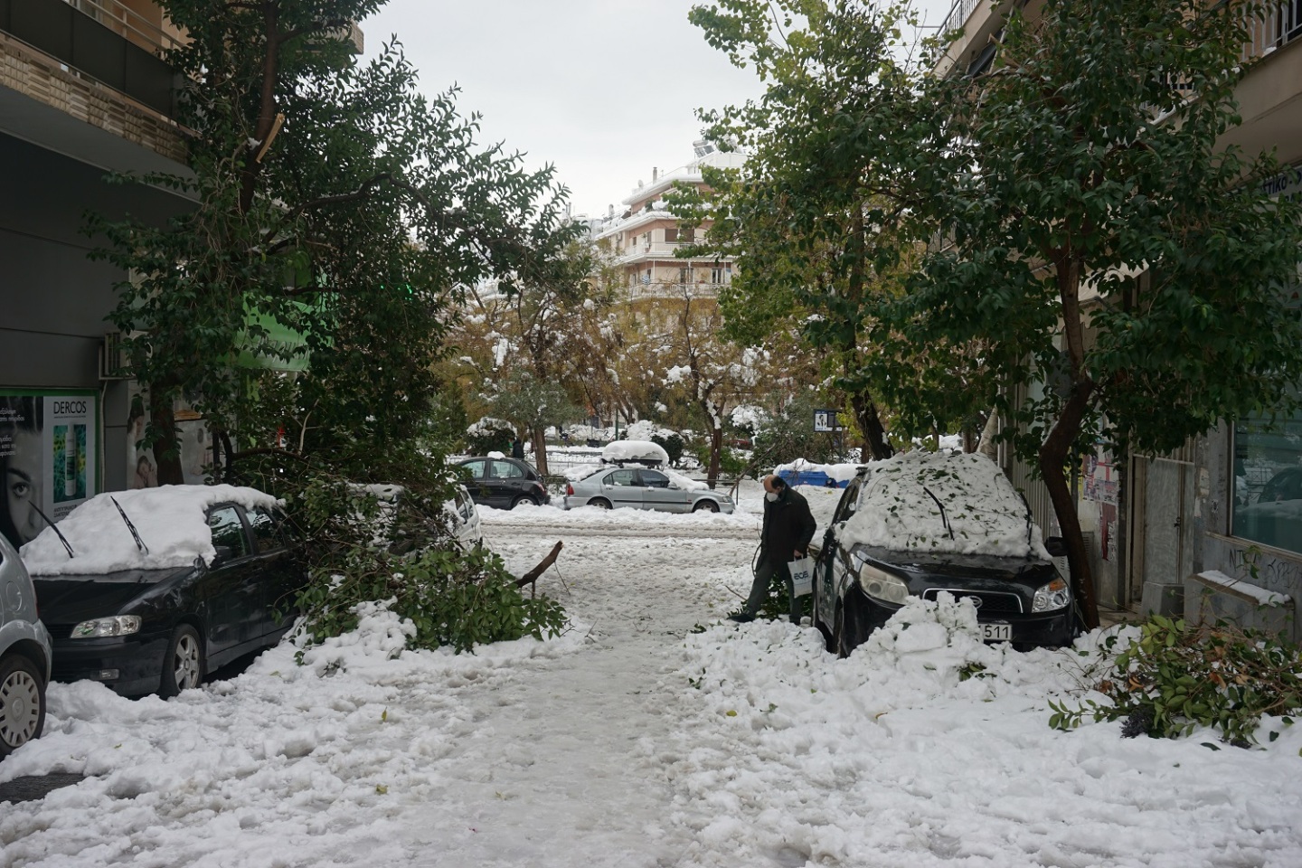 Σπασμένα δέντρα επί της Καρύστου, στους Αμπελόκηπους. 