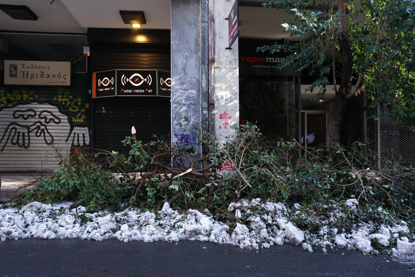 Σπασμένα δέντρα στη Χαριλάου Τρικούπη. 