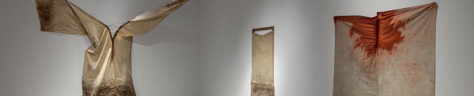 Στάθης Λογοθέτης, Φωτογραφίες από την προετοιμασία έργων της σειράς Φύση κατά τη διαμονή του καλλιτέχνη στο Worpswede της Γερμανίας, 1978-1979