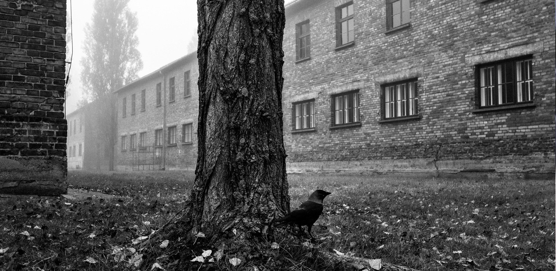 Στρατόπεδο Άουσβιτς I. Credits: Renée Revah