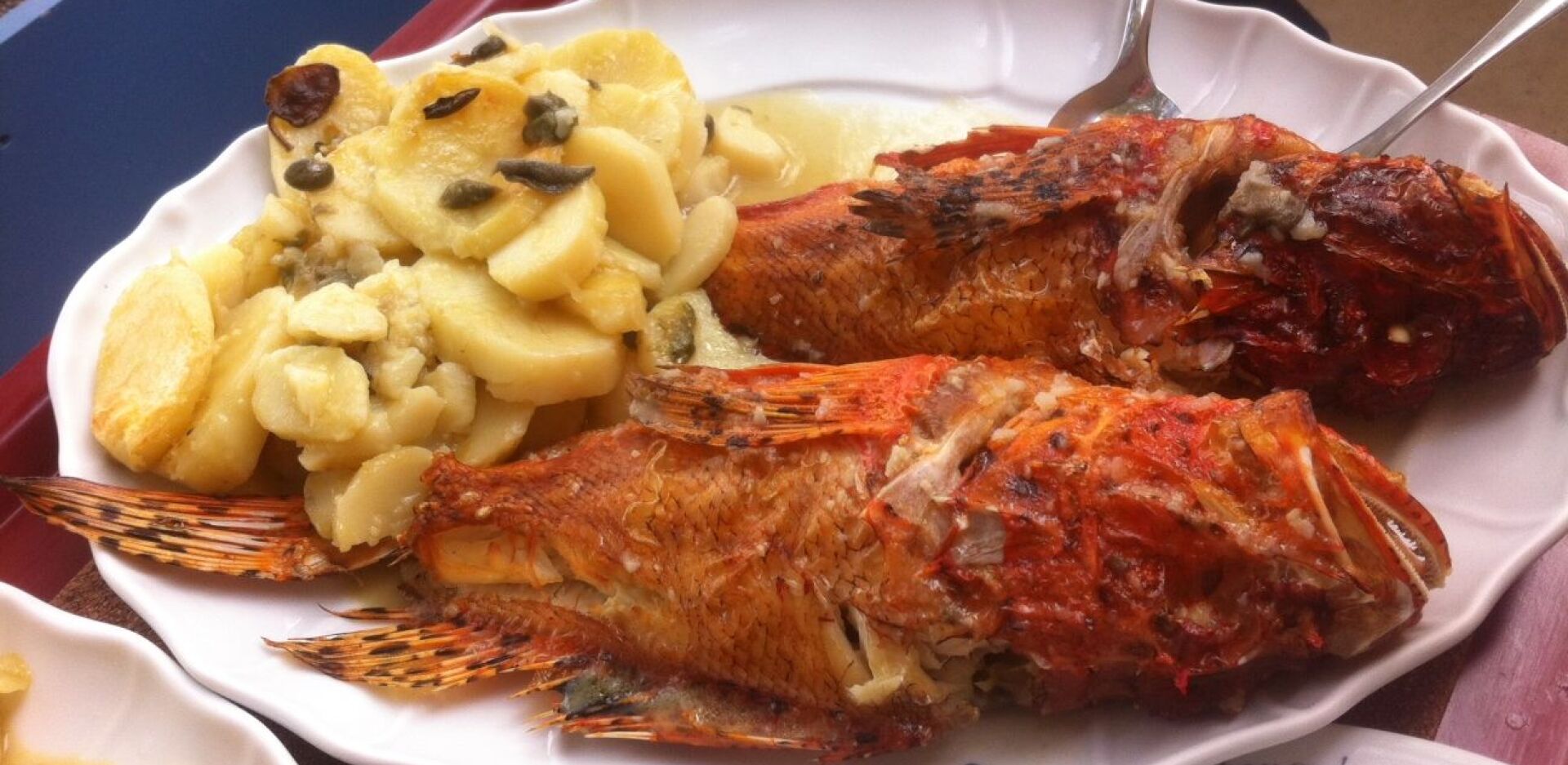 Τι γεύση έχουν τα ελληνικά νησιά;