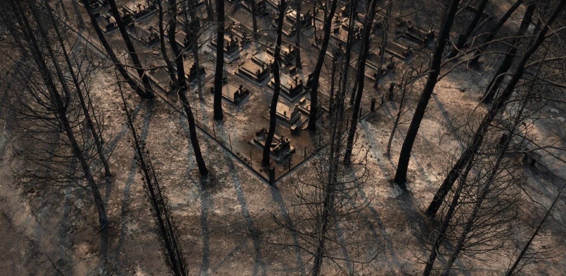 Εικόνα καταστροφής από τη φωτιά στην Αλεξανδρούπολη ©Konstantinos Tsakalidis / SOOC