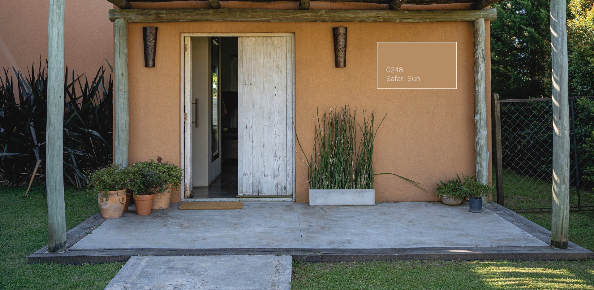 Safari Sun: Χρώμα της Χρονιάς από την Vitex για το 2024