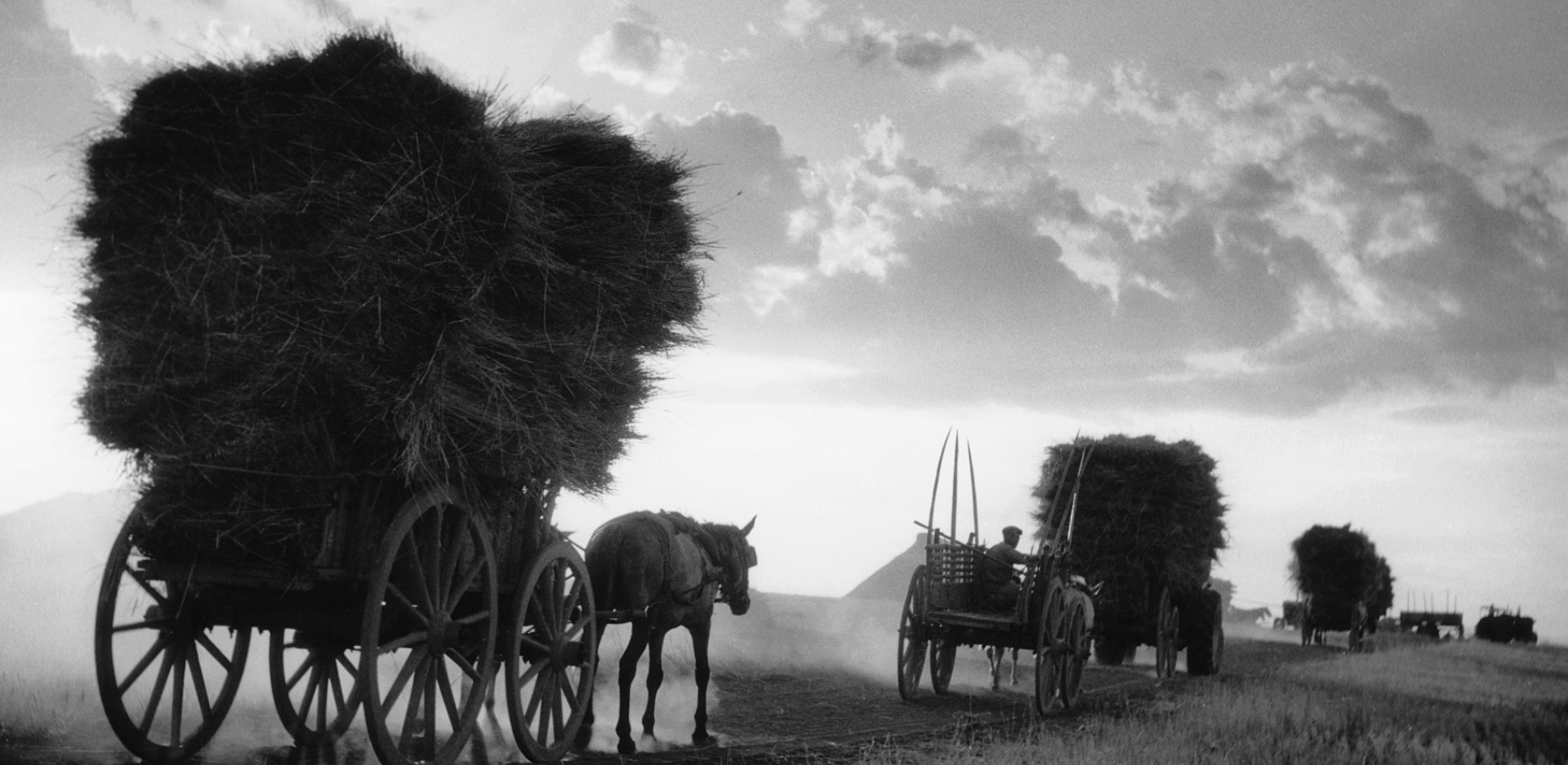 Τάκης Τλούπας