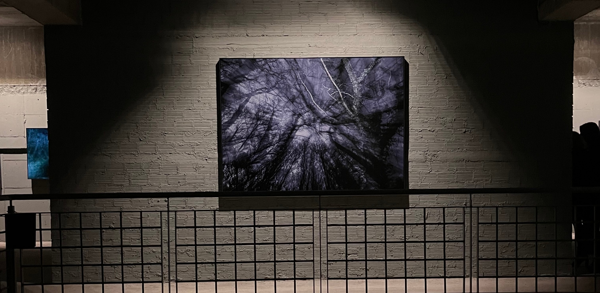 Επίσκεψη στην έκθεση του φωτογράφου Τάσου Βρεττού «Το αίνιγμα του Δάσους» στο κτίριο «Νόμπελ» στο Χαλάνδρι