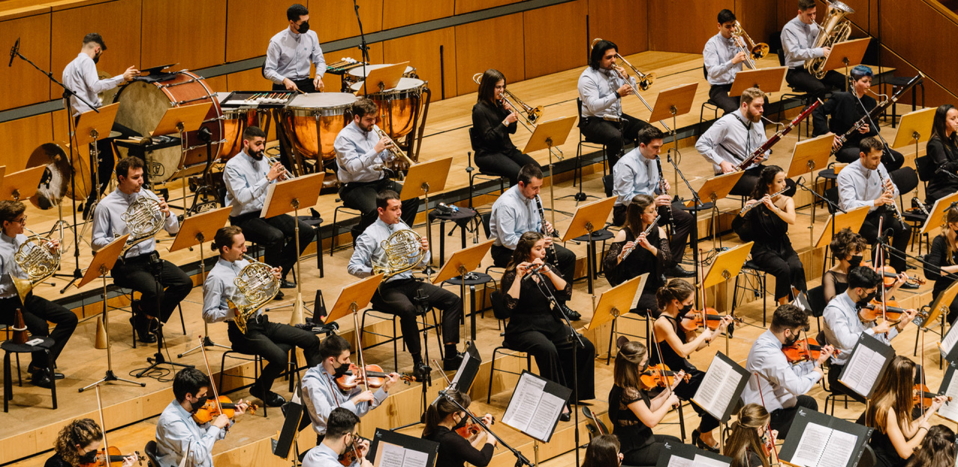 Ελληνική Συμφωνική Ορχήστρα Νέων 