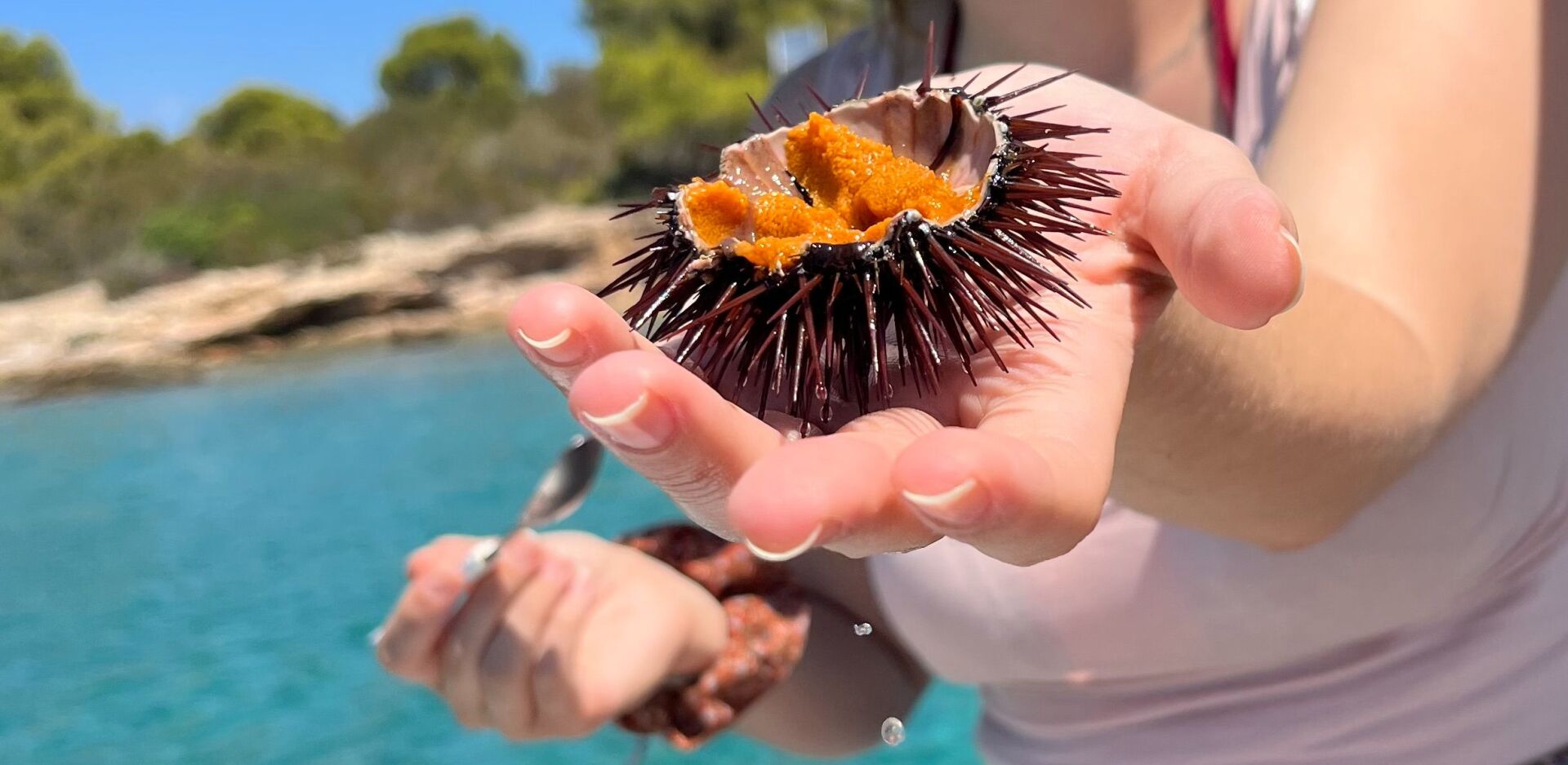 Ο χάρτης των γεύσεων