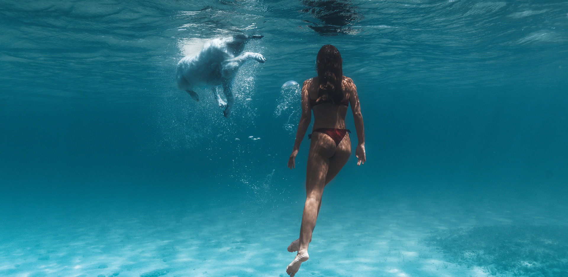 Μιχαήλ Βαρθακούρης @mihail_v