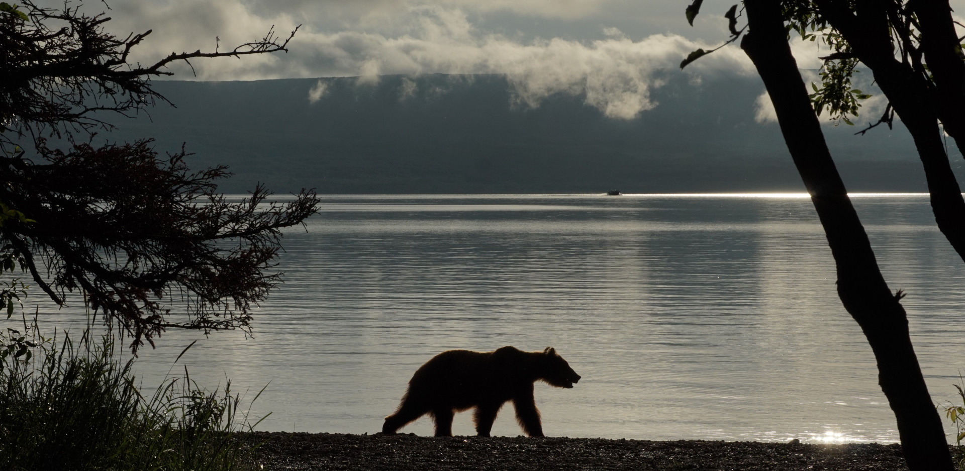 Κατμάι: Το παρθένο βασίλειο της «παχιάς αρκούδας»  