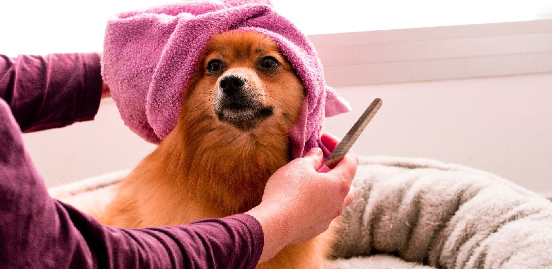 4 στέκια που θα λατρέψει το ζωάκι σου