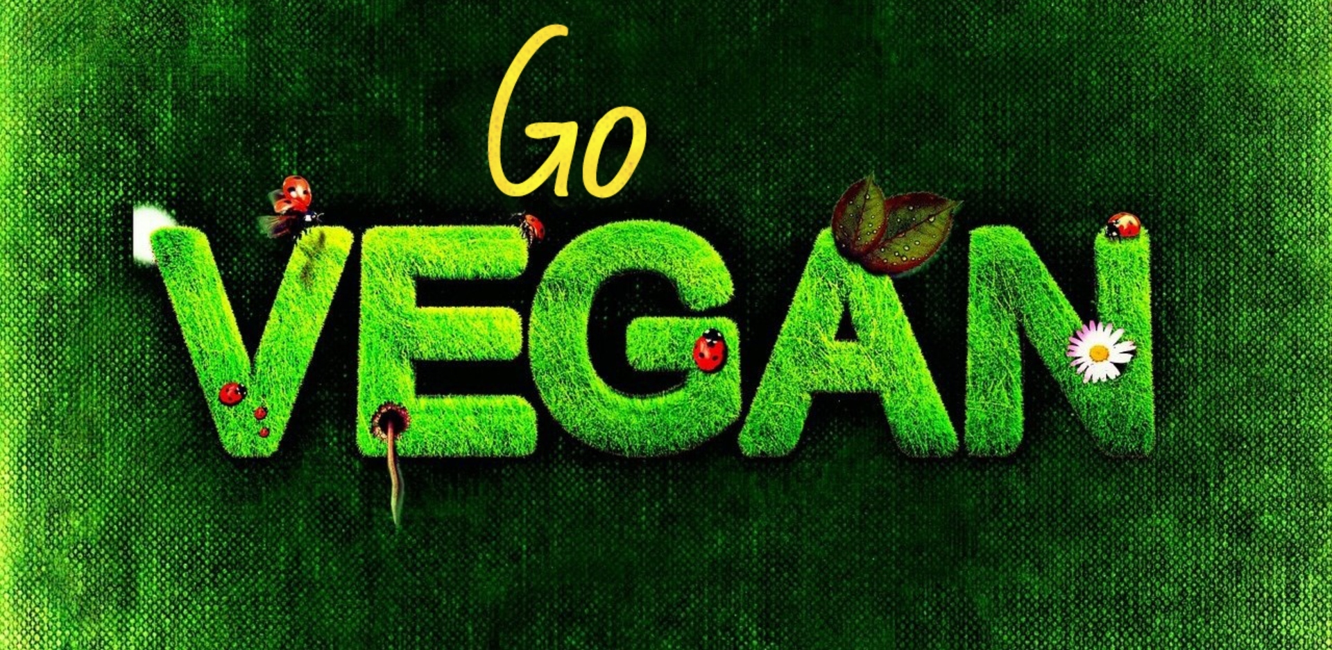 Αφιέρωμα Vegan Athens Voice 