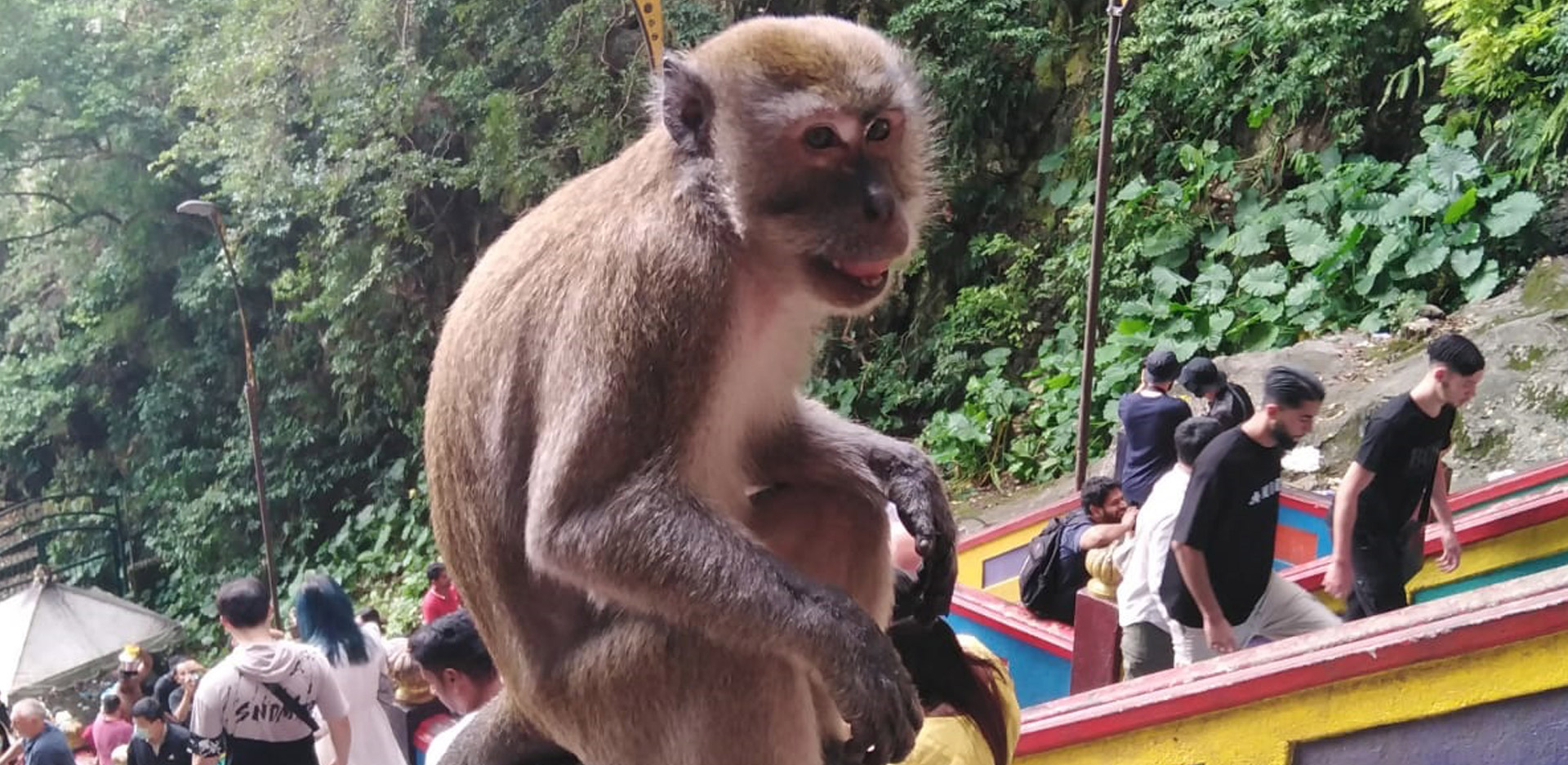 Μαλαισία: Κουάλα Λουμπούρ
