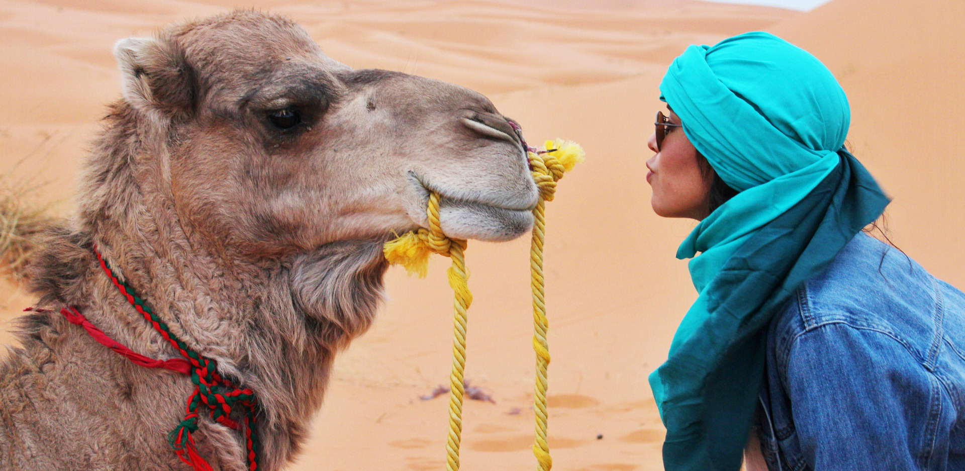 Ελεύθερος ταξιδιώτης